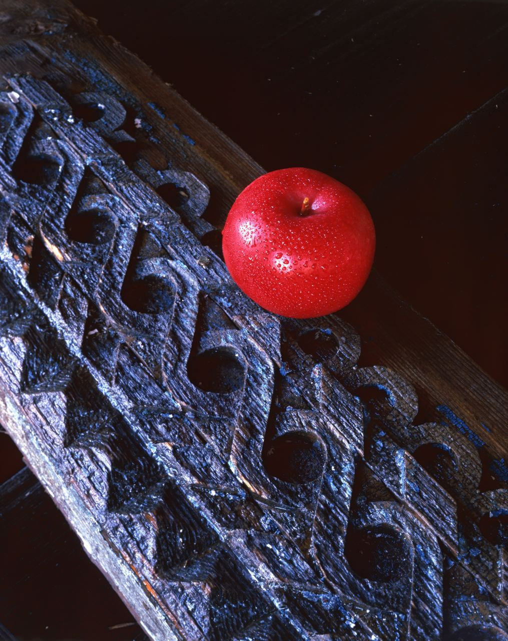 Натюрморт. ВАДИМ ГИППЕНРЕЙТЕР — ВЕЛИКИЙ ФОТОГРАФ ЗЕМЛИ РУССКОЙ