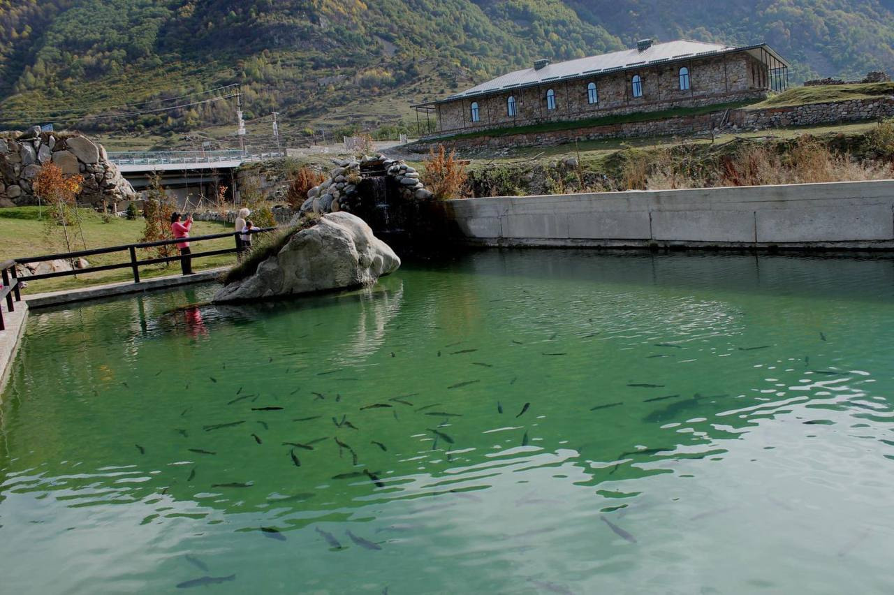 ОБУЧАЮЩИЙ ФОТОТУР в Кабардино-Балкарию с 10 по 16 июля 2026 г. Детский и семейный фотограф Елена Михайлова в Москве