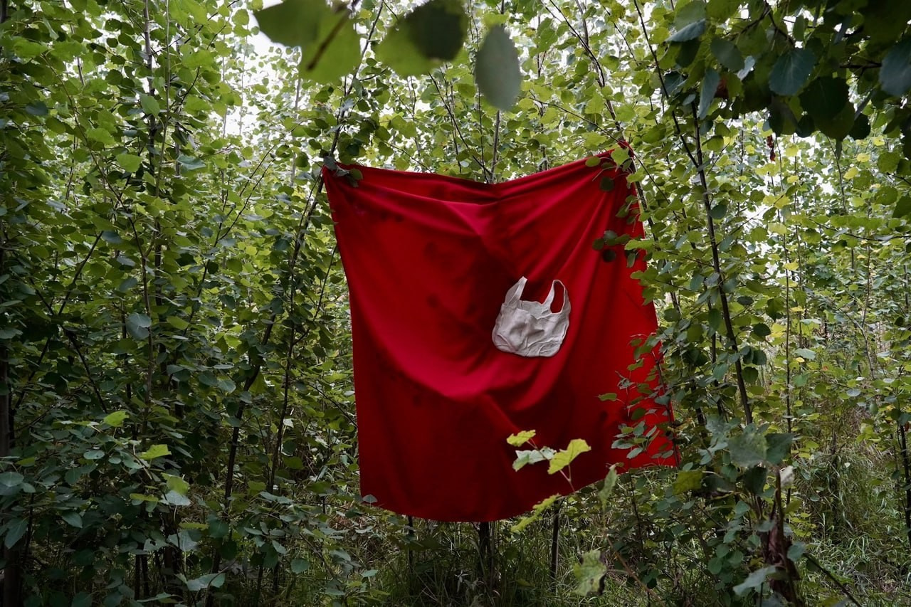 Апофеоз частиц '24. Khorevali Лиза Хорева