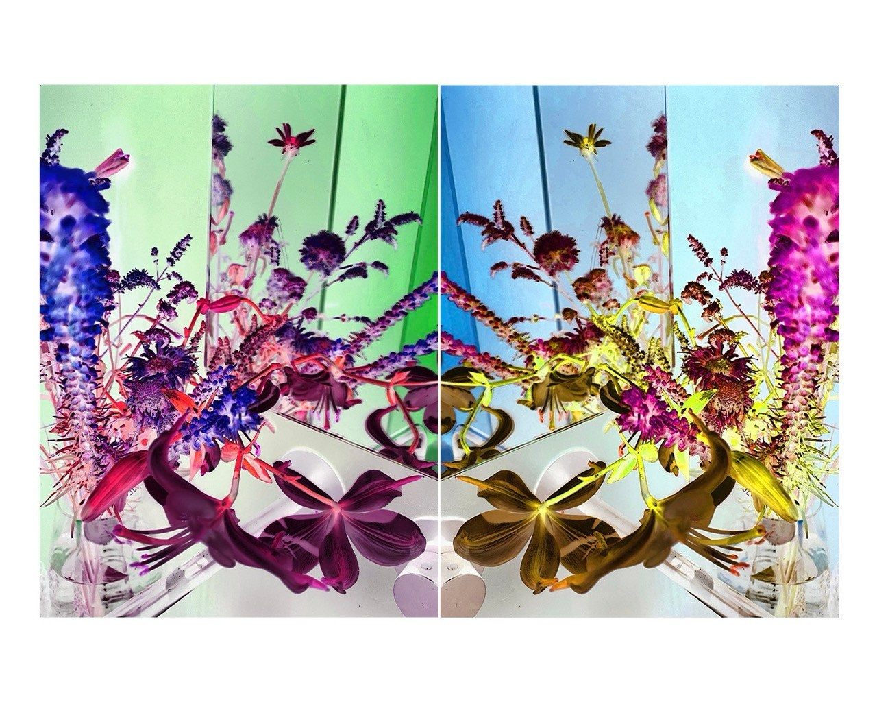DIPTYCH STORY. VISUAL ARTIST