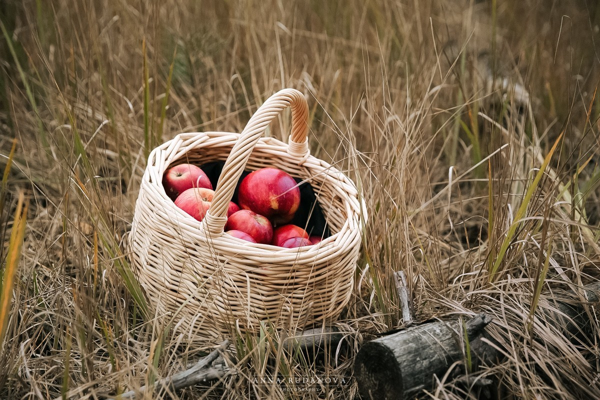 Осенняя фотосессия, love story, | Фотограф Анна Руданова