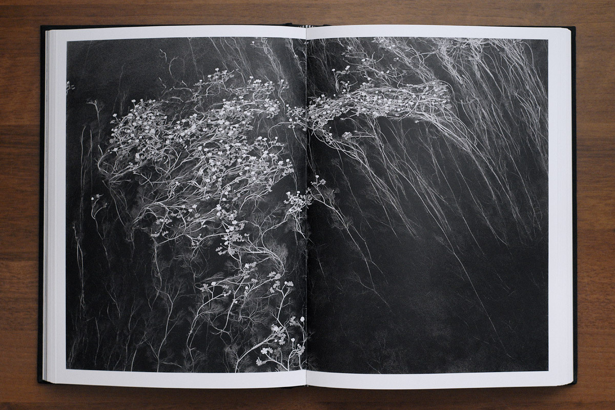 Books. Emil Gataullin