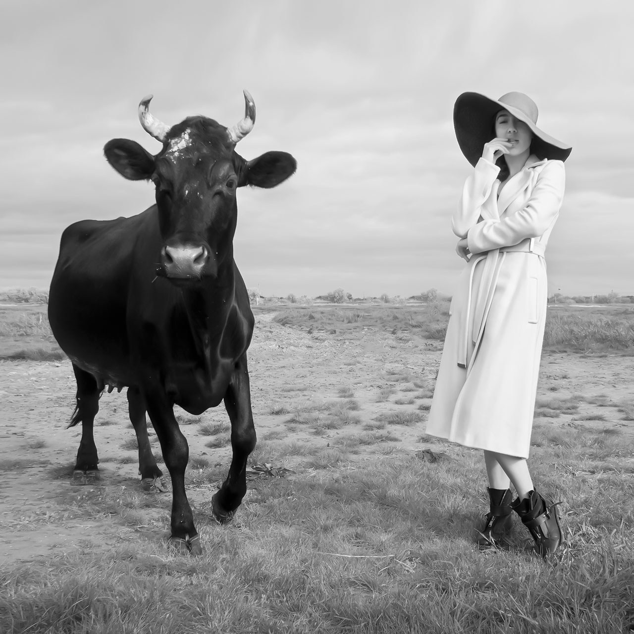 SALE OF DIGITAL FINE ART FILES BY ARTIST MIKHAIL POTAPOV