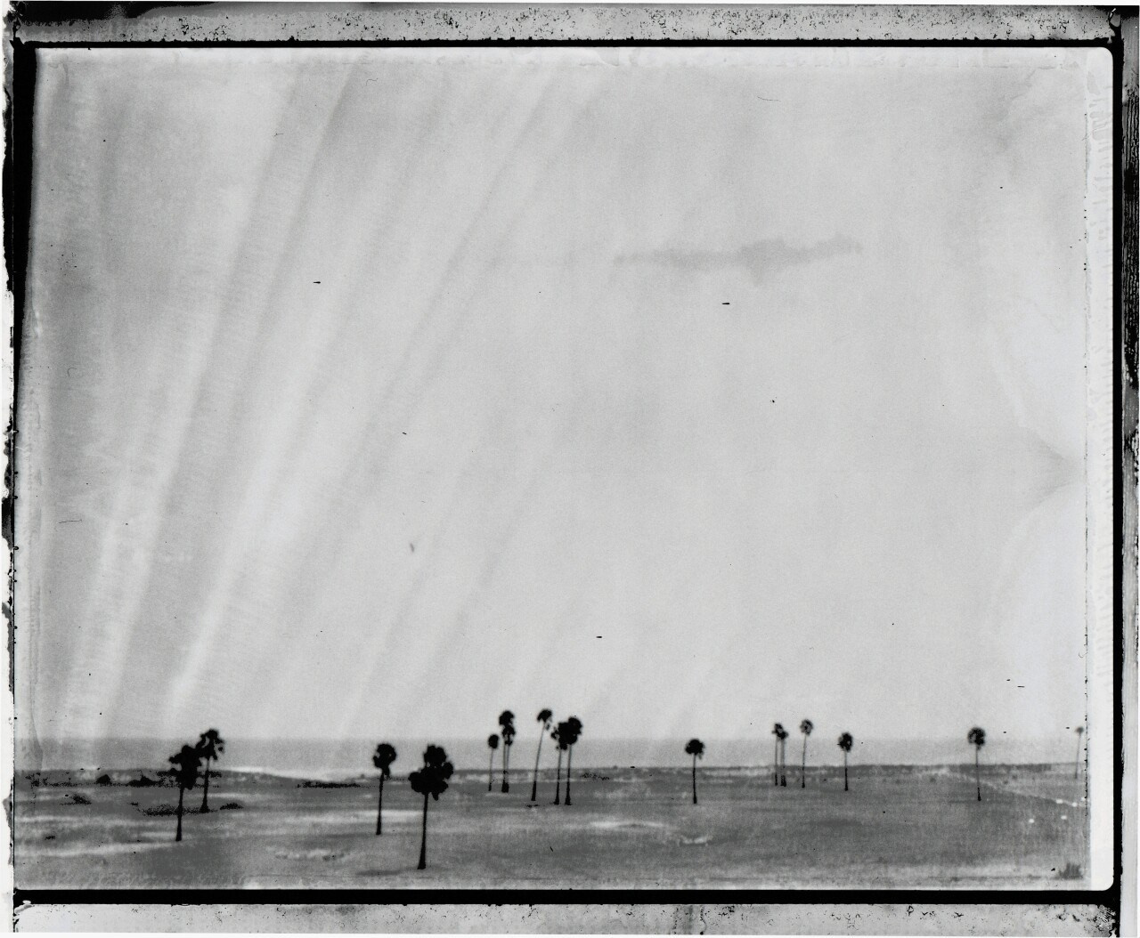 Серия Horizon № 010, Sur la route de Madras, 2003