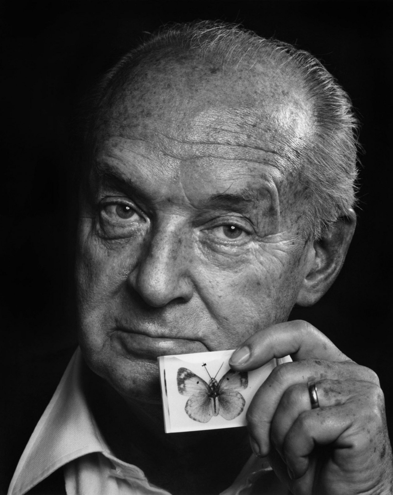 Владимир Набоков, 1972