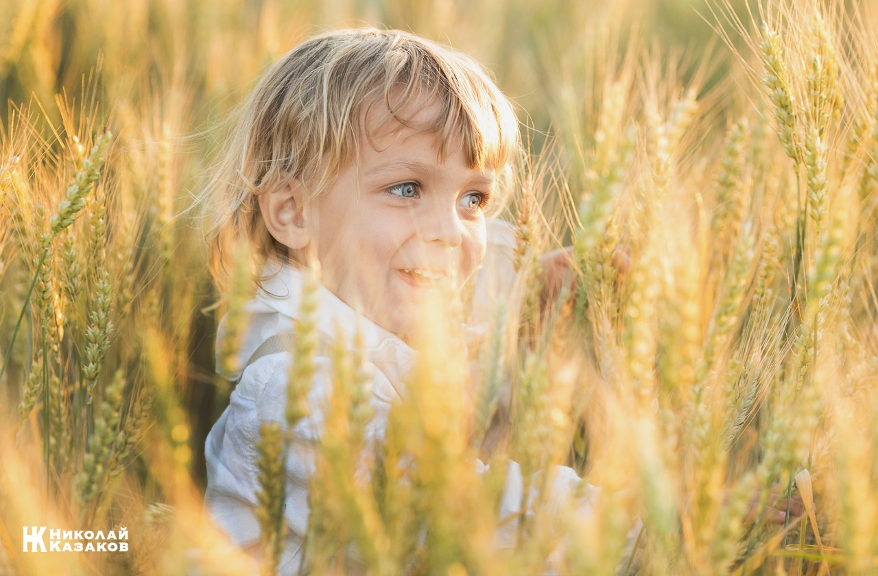 Позитивный портрет маленького мальчика с светлыми волосами в лучах заката, играющий в пшеничном поле во время фотосессии.