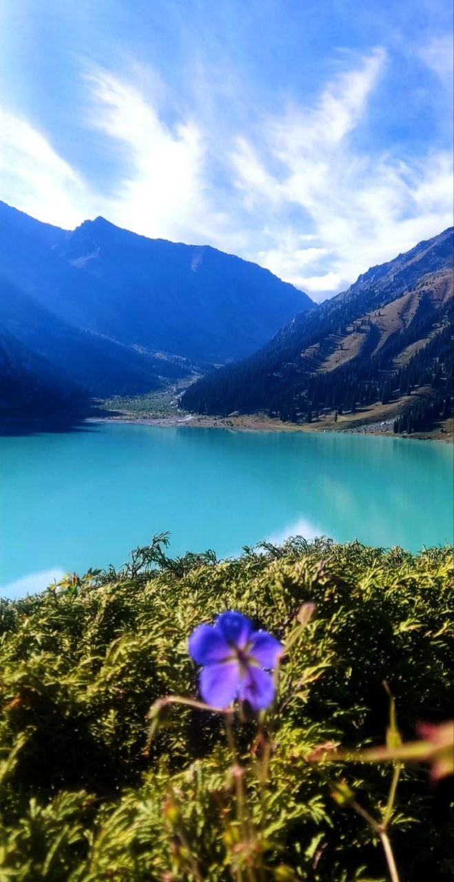 Большое Алматинское Озеро БАО рядом с Алматы, Казахстан. Где находится, как доехать, фото и видео зимой и летом