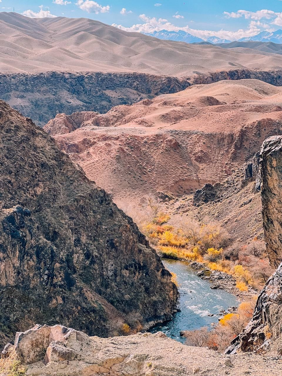 Ущелье Черного каньона с извилистой рекой Чарын, текущей между высокими скалами и холмами. Вдоль реки растут деревья с золотистыми осенними листьями, добавляя ярких акцентов в пейзаж. Горы на заднем плане покрыты мягкими округлыми холмами, а вдалеке виднеются заснеженные вершины под голубым небом с облаками.