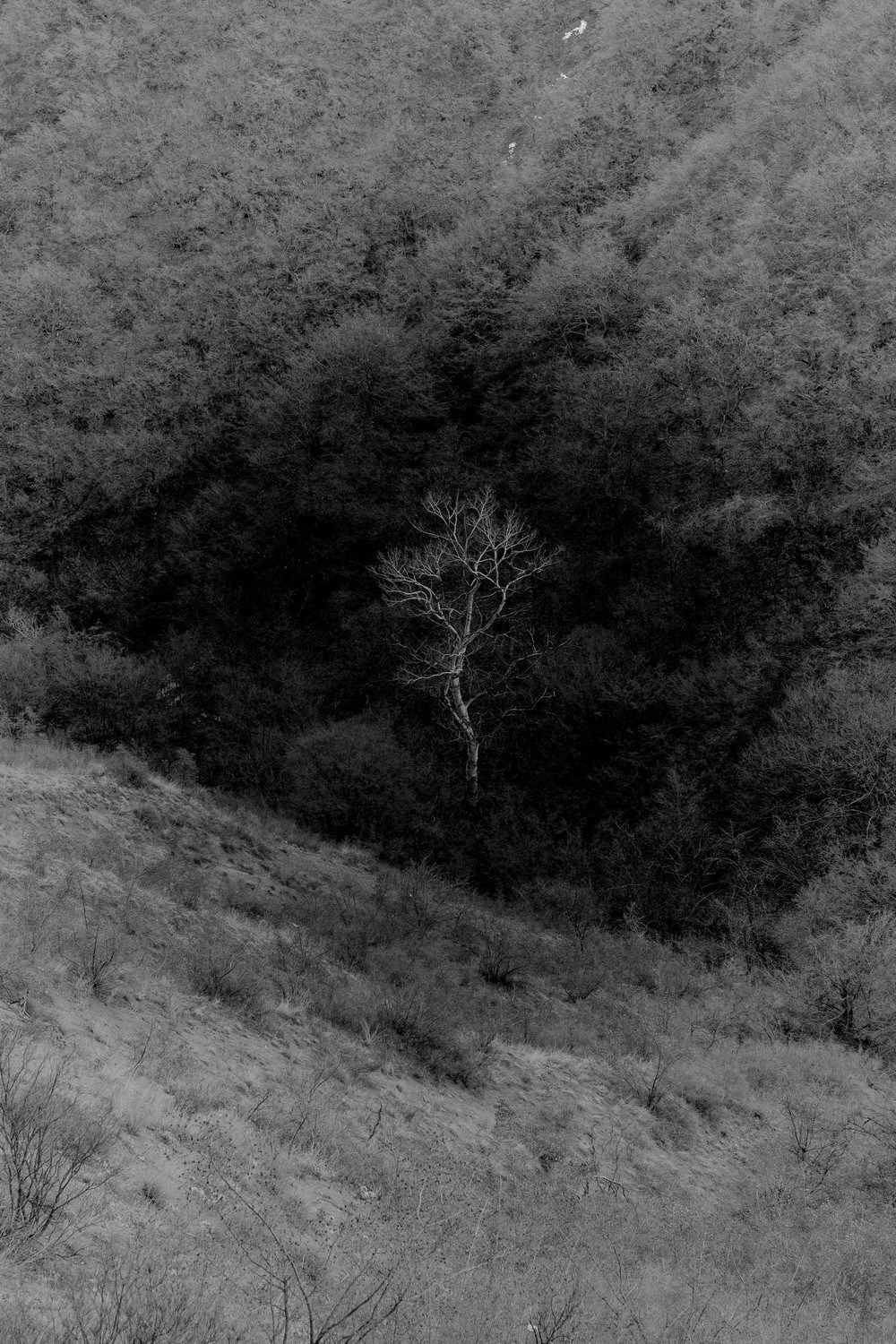 Nuclear space. Kristina Sergeeva