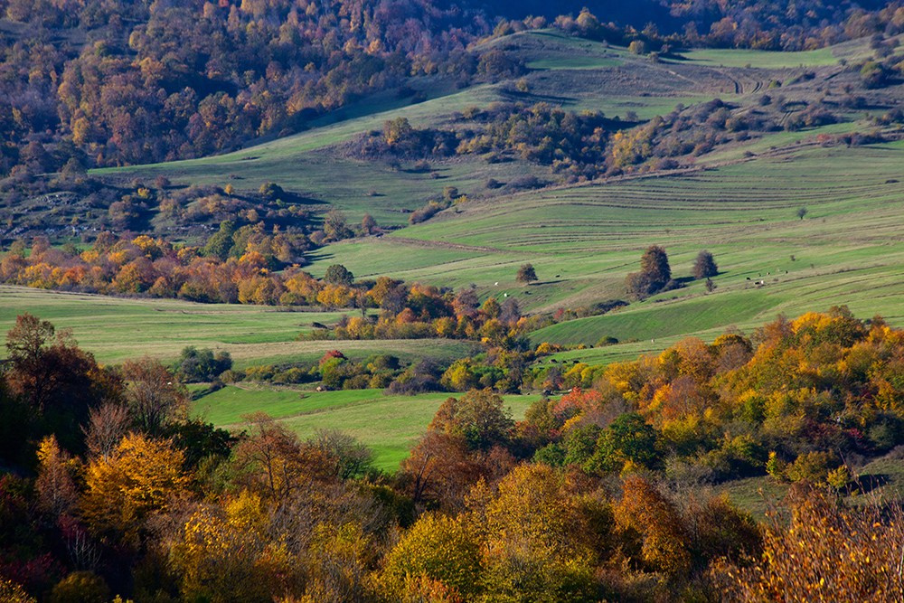 Осенняя Армения 2026 | Фотограф Дмитрий Купрацевич. Дмитрий Купрацевич профессиональный пейзажный и travel-фотограф