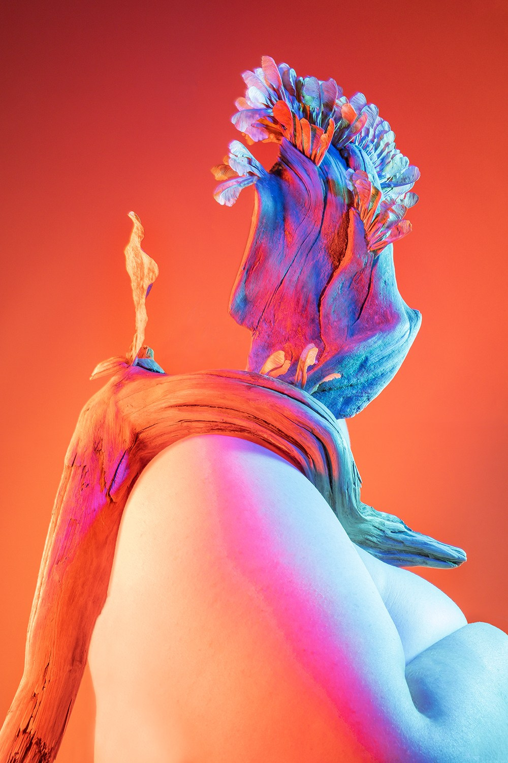 Anastasia Bogomolova — News