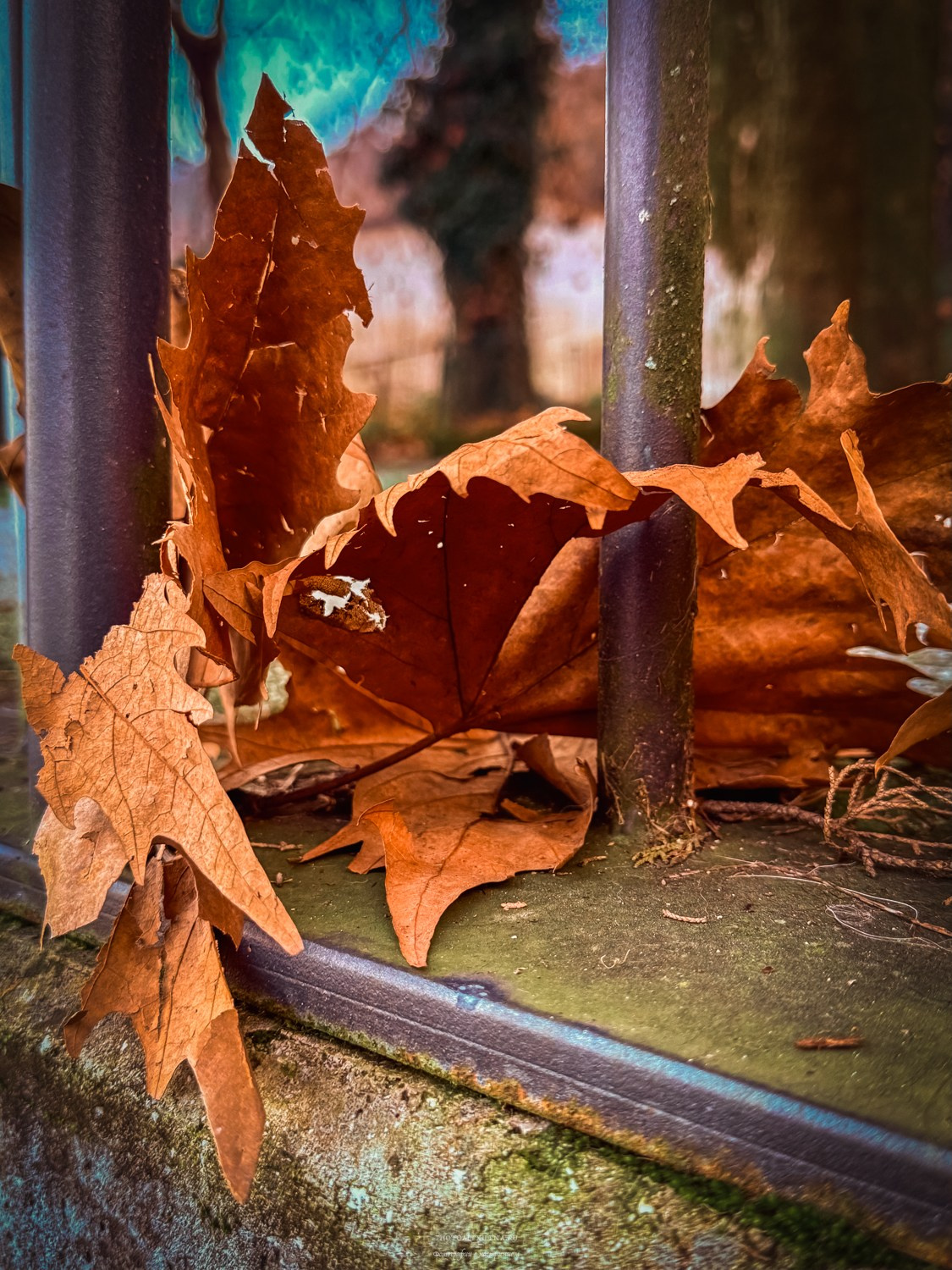 Vittoriale degli Italiani-Бывшая резиденция Габриеле Д’Аннунцио. Авторские стильные фотокартины