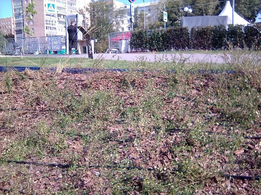 ВНИМАНИЕ! ФЕСТИВАЛЬ ЛАНДШАФТНОГО СТРОИТЕЛЬСТВА. 俄罗斯设计估算