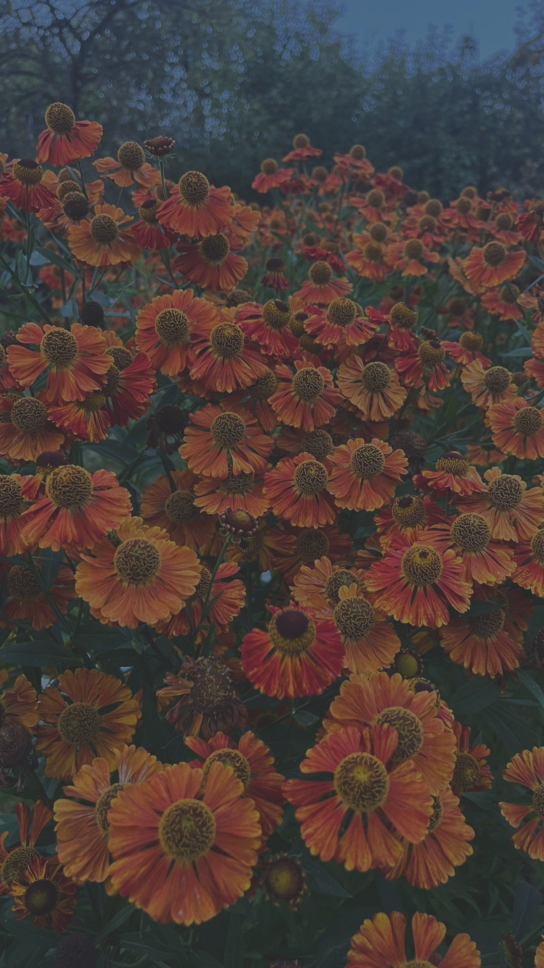 Мини-разбор: Энергия рода и энергия карьеры на периоды жизни. Организация и координация свадебных и семейных торжеств