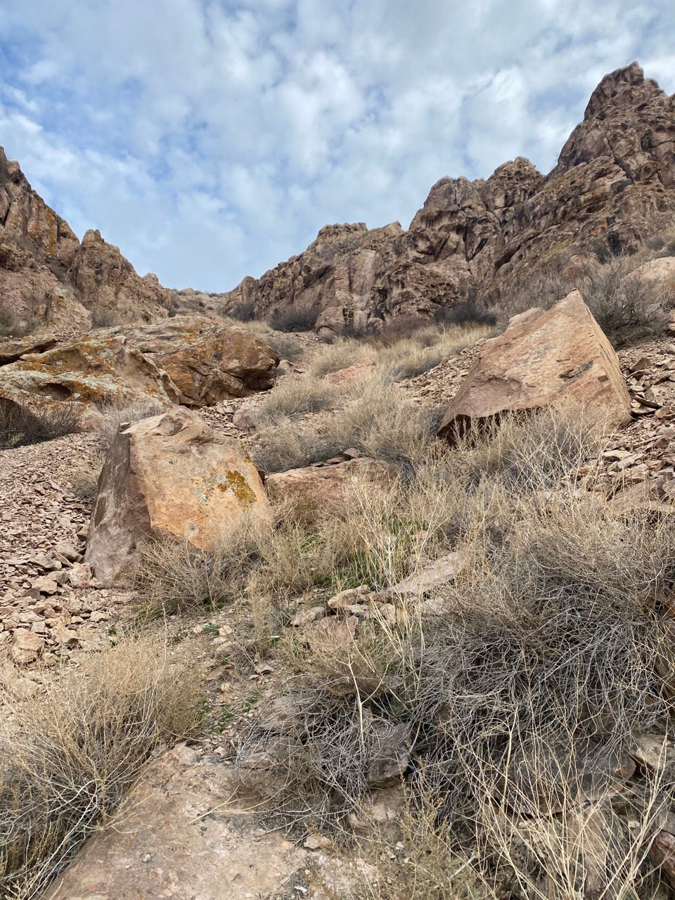 Петроглифы Тамгалы Тас Будда в Казахстане. Алматы. Где находится, как доехать из Алматы, фото и видео зимой и летом