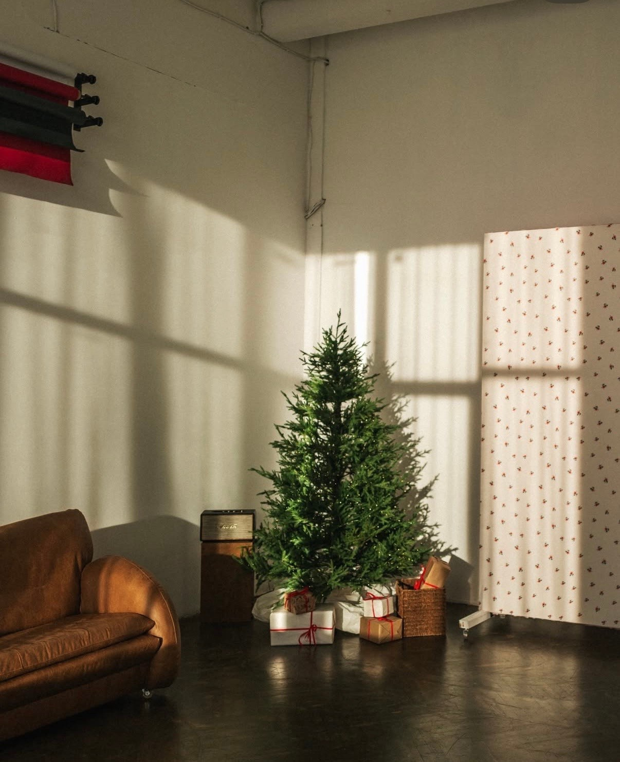 Новогодние фотостудии 2026. Семейный и детский фотограф в Бресте Дария Поляк