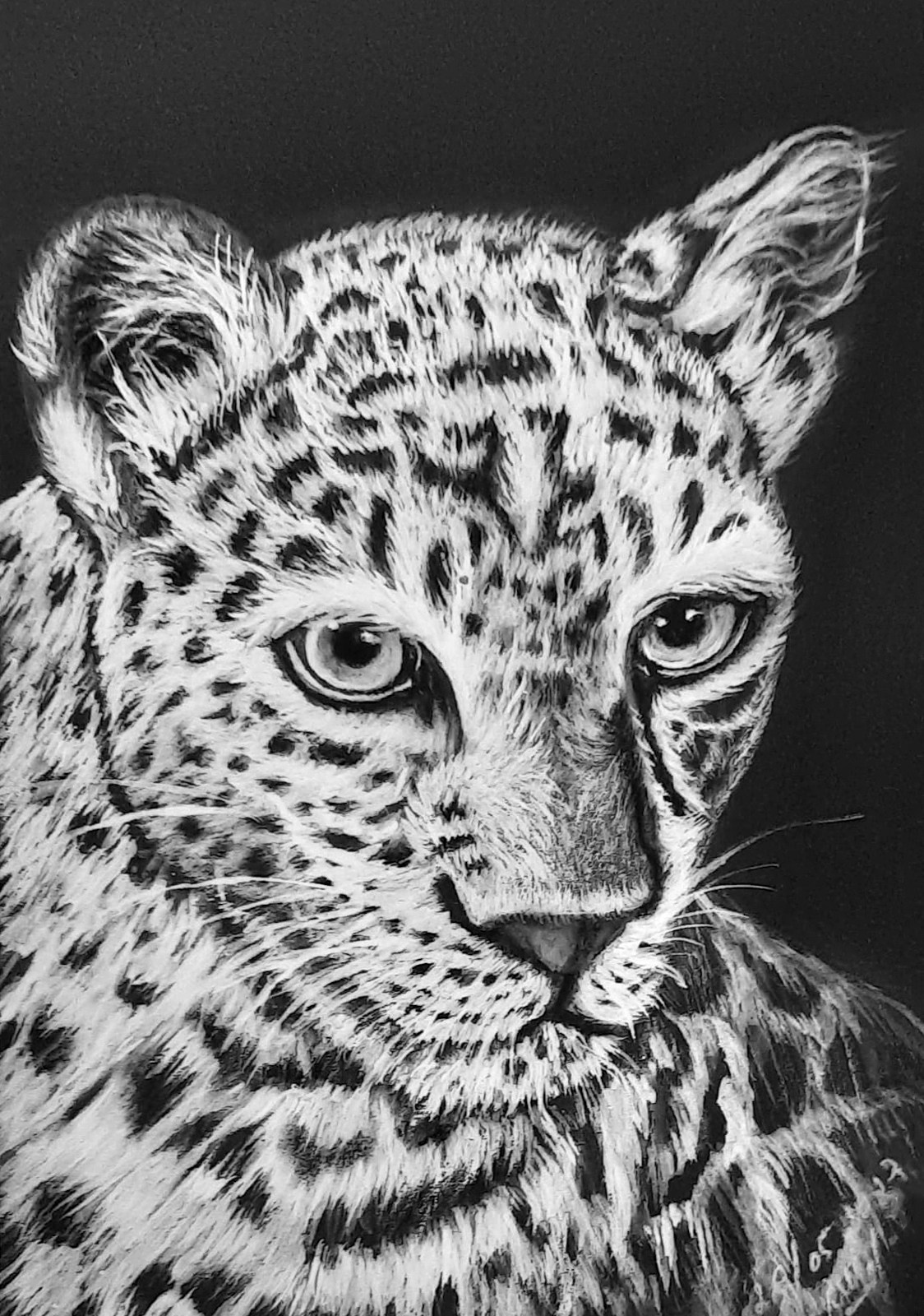 Любовь Шатунова | Портрет питомца по фото. Любовь Шатунова | Портреты по фото | Пейзажи на заказ | Натюрморты | Анимализм