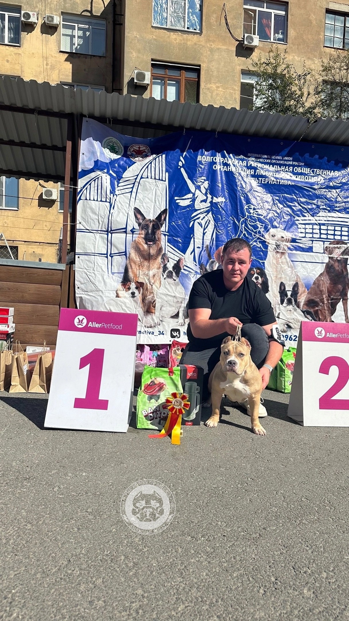 американский булли Юг, американский булли южный округ, лучшие американские булли на юге россии, топовые булли в россии, топовые американские булли в россии, ТОП булли, Топ американский булли, самые крутые американские булли, булли клаccик, булли покет, булли стандарт, булли экзот, булли xl, амeриканский булли, щенок булли, американский булли питомник, американский булли купить, американский булли щенок, американский булли москва, американский булли ростов-на-дону, американский булли краснодар, американский булли ставрополь, американский булли волгоград, американский булли семфирополь, американский булли ставрополь, американский булли сочи, американский булли воронеж, американский булли питер, американский булли санкт-петербург, американский булли Казань, американский булли Новосибирск, американский булли Челябинск, американский булли Ростов, американский булли Луганск, американский булли Донецк, американский булли покет, американский булли классик.американский булли ,американский булли щенки , американский булли купить ,американский булли фото , американский булли покет , собака американский булли , порода американский булли , американский булли цена , купить щенка американского булли ,американский булли характеристика , порода собак американский булли, питомник американских булли , американский булли отзывы, американский булли стандарт , американский булли отзывы владельцев, американский булли xl , россия американские булли , американские булли москва , американский булли вес , американский булли цена щенка, американский булли породы собак сша , американский булли размеры , американский булли классик , американский булли классика , американский булли характеристика породы , авито американский булли , сколько стоит американский булли , окрасы американских булли , американский булли виды , американский булли типы , американский булли цена в россии , американский булли экзот , американский булли микро , американский булли мини , собака американский булли фото , американский булли спб , американский булли характер , минусы американского булли , купить американского булли в москве , американские булли сколько щенков , плюсы американского булли , американский булли плюсы и минусы , взрослый американский булли , американский булли фото цена , американский булли фото щенков , американский булли крым , сколько живут американские булли , американский булли описание , американский булли купить авито , американский булли ростов , собачий питомник , питомник для собак , собаки , порода , щенки, щенок для детей, щенок для ребенка, щенок для семьи, собака для ребенка, питомник BULLY LOVERS, питомник THE POWER OF SIBERIA, питомник Ultimate Bully, питомник FORTIS FORTUNA VALIDI, питомник EXTREME BEAR, питомник American Dream, Питомник RUSSIAN BULLS, питомник ТАРУС & BULLY LAND, питомник Bully Ranch P&N, Питомник ANTREABULLS, питомник Ambully House, питомник Mar Nero, питомник Alfabulls, #micro #microbully #ambully #ambullys #ambullylife #ambullyforlife #ambullyworld #ambullylove #ambullylover #ambullylovers #ambullyloversfans #americanbullybreed #americanbullykennelclub #американскийбуллипитомник #bullies #bulliesallday #bulliesofig #bulliesofinsta #bulliesofinstagram #instabullies #bullieslife #bullymag #americanbully_feature #americanbullydog #tribullies #americanbullyblue #americanbullytricolor #bullystick #americanbullyStud, американский булли,американский булли щенки,американский булли купить,американский булли покет,американский булли фото,собака американский булли,порода американский булли,американский булли цена,американский булли купить щенка,американский булли характеристика,порода собак американский булли,американский булли отзывы,питомник американских булли,американский булли стандарт,американский булли отзывы владельцев,россия американские булли,американский булли виды,американский булли цена щенка,сколько стоит американский булли,американский булли цена в россии,американские булли москва,американский булли xl,американский булли размеры,типы американских булли,американский булли мини,американский булли вес,авито американский булли,американский булли породы собак сша,американский булли микро,американский булли характеристика породы,американский булли экзот,американский булли классик,американский булли классика,собака американский булли фото,американский булли характер,минусы американского булли,американские булли спб,американский булли окрасы,американский булли купить в москве,американские булли сколько щенков,плюсы американского булли,американский булли видео,американский булли плюсы и минусы,американский булли щенок фото,взрослый американский булли,американский булли девочка,американский булли описание,сколько живут американские булли,американский булли покет купить,американский булли крым,american bully,american bully ru,american bully ru shchenki,https american bully ru,https american bully ru shchenki,american bully xl,american bully питомник,american bully dog,american bully kennel,american dream bully,american bully pocket,american bully kennel club,all american bully фильм смотреть,american bully xxl,reddit american bully,american bully ru shchenki html,american bully wise,celina innovations crochet american bully part,https american bully ru shchenki html,american bully classic,питомник американских булли,питомник собак американский булли,питомник американских булли в крыму,питомник собак в крыму американские булли,питомник в крыму американский булли последние,питомник американских булли в москве,американские булли купить питомник,питомник американских булли в россии,питомник американских булли покеткупить щенка американский булли питомник,американские булли цена питомники,питомник американских булли в спб,питомник американских булли яна,купить американского булли в москве питомник,питомник американских булли в москве и московской,официальные питомники американских булли,крым питомник американских булли яна,булли американский купить питомник цена,москва и область питомники американских булли,питомник американских булли яна и гоша,американские булли подмосковья питомник,американский булли стандарт питомник,питомник американских булли екатеринбург,питомник американских булли ростов,лучшие питомники американских булли,питомник собак крым американский булли яна,яна питомник собак американский булли,американский булли купить в спб питомник,американский булли питомник львиное сердце уфа,американский булли питомник львиное сердце уфа вк,американский булли лучший питомник россии,американский булли питомник краснодар,американский булли купить спб щенка питомник,американский булли покет питомник москва,американский булли сайт питомник,питомник американский булли официальный сайт,питомник американских булли в челябинске,питомники американских булли в россии список лучших,питомник собак американских булли серпухов,питомник собак дзен американский булли,американский булли xl питомник,питомник американских булли в талдоме,питомник и цена американ американский булли,фаворит гигант питомник американских булли,американский булли купить,американский булли купить щенка,американский булли купить в москве,американский булли покет купить,американский булли купить щенка в москве,американский булли купить авито,купить американский булли цена,купить американского булли в спб,купить собаку американский булли,американский булли купить щенка цена,американский булли покет купить щенка,американский булли купить в беларуси,американский булли стандарт купить,американский булли купить москва московская область,купить американского булли в россии,купить американского булли в московской области,американский булли купить в екатеринбурге,американский булли купить в новосибирске,американский булли купить щенка в спб,