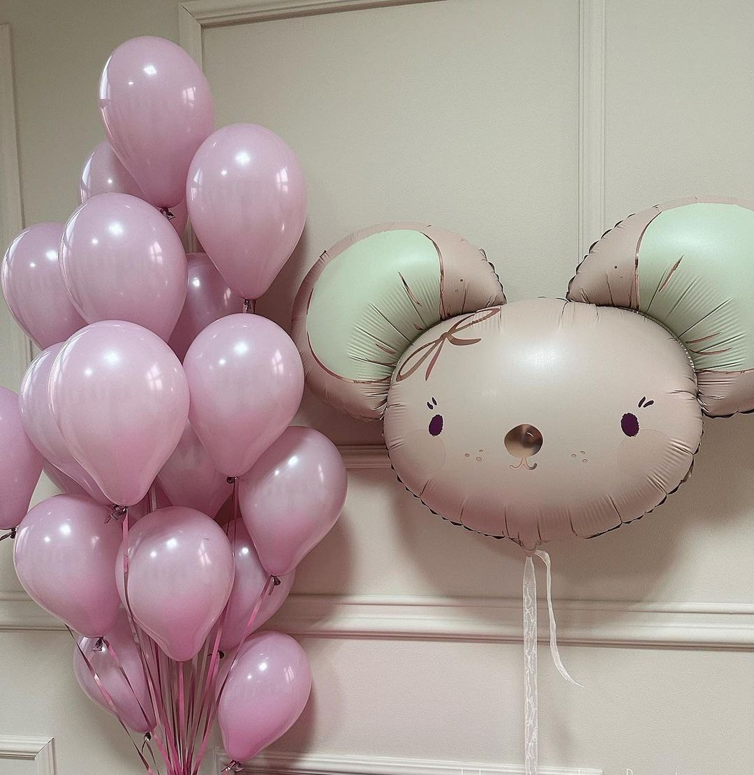 Balino prvi rodendan dostava balona Novi Sad dostava balonaBeograd. Шары с гелием, фотозоны Нови Сад Белград. Balone i dekoracije od balona Novi Sad Beograd