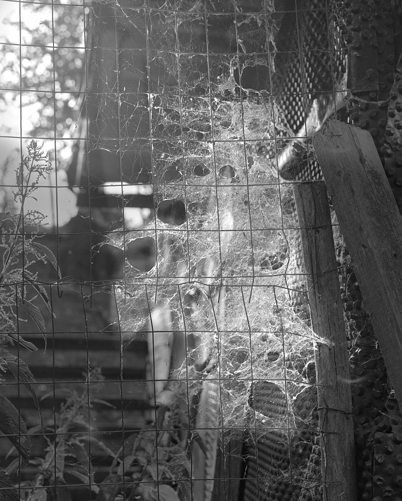 Проект «Borderland» Филиппо Барберо (Filippo Barbero). Private image