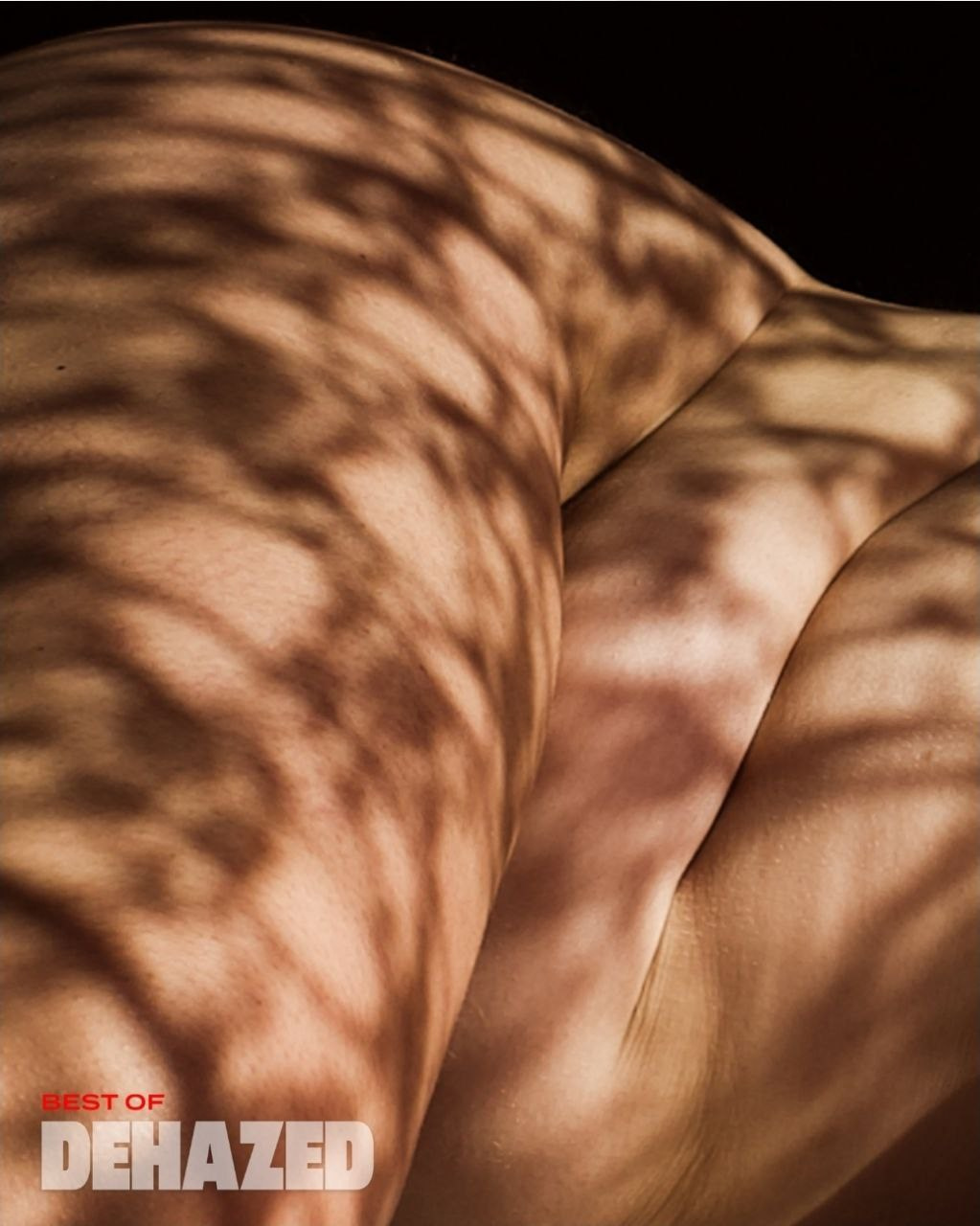 Курс «Основы художественной фотографии». Женский семейный фотограф Тула Москва Захарова Анна