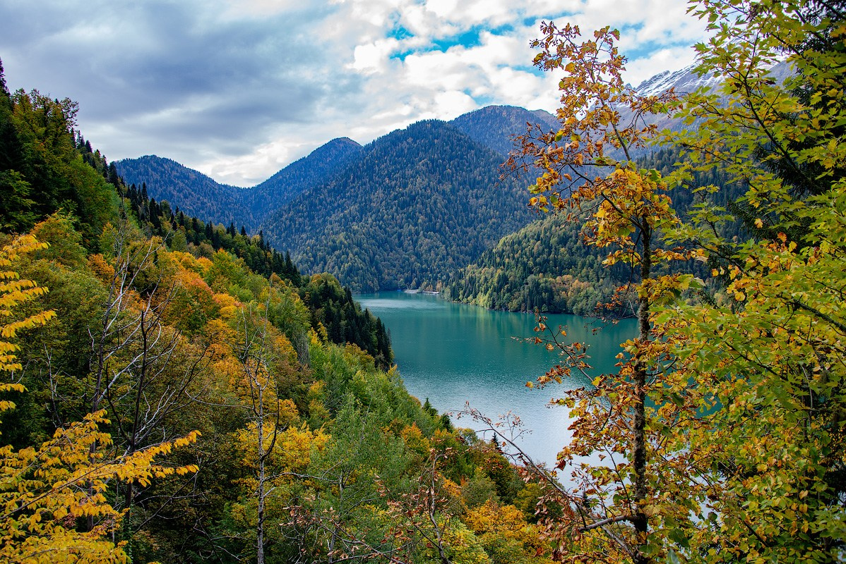 Абхазия. «Мандариновое настроение». Ольга Котова