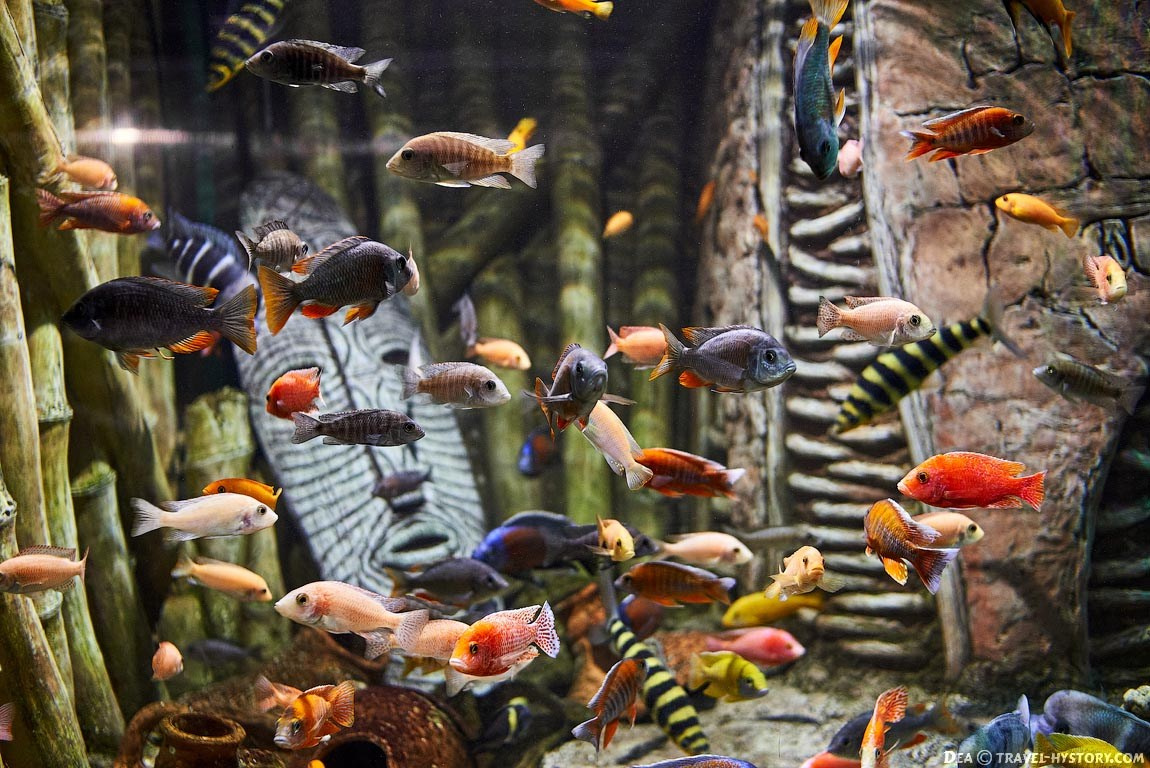 Музеи Севастополя, что посмотреть в Севастополе, экскурсии по Севастополю. Профессиональная фотосъемка в Крыму. Натуральные эмоции и живые кадры. Забронируйте дату прямо сейчас!