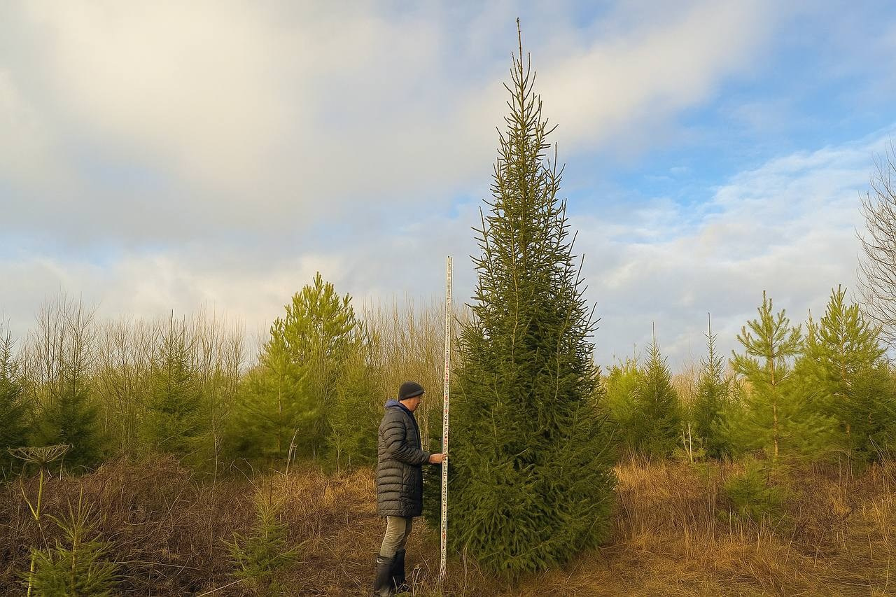 Крупномеры РФ