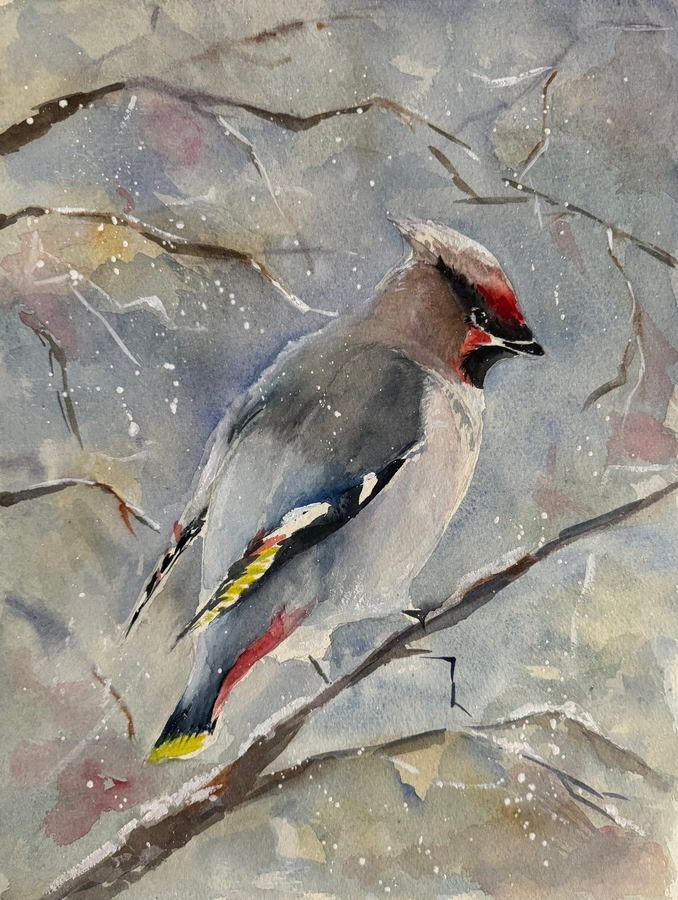 Медведева Анна Александровна. Галерея участников Российской Премии Искусств