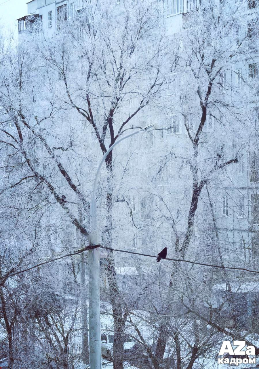 Дыхание весны. Фотоклуб AZакадром. Женский семейный фотограф Тула Москва Захарова Анна