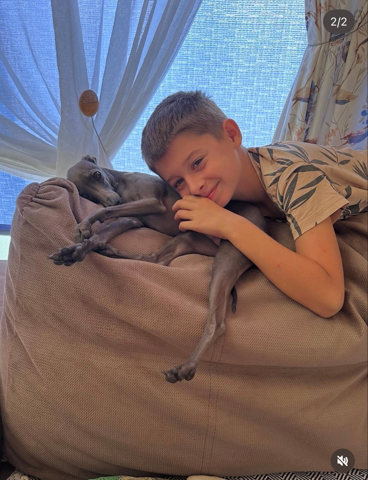 Левретка и ребенок: нежная дружба. Профессиональный питомник левреток РКФ/FCI ASTI SAPPHIRE 💎 Сочи|Санкт-Петербург