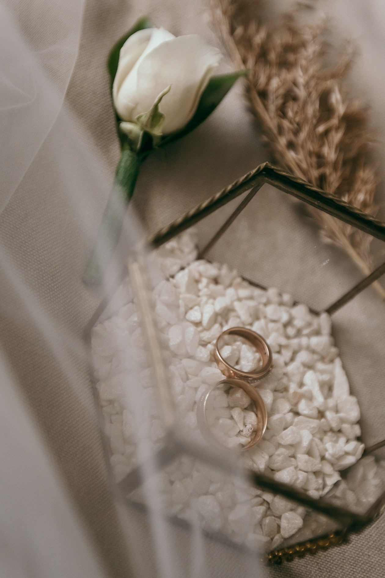 SOFDAN — это фото и видеосъемка | сценарии | организация торжеств