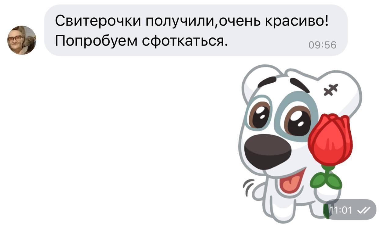 Итоги февраля. Профессиональный питомник левреток РКФ/FCI ASTI SAPPHIRE 💎 Сочи|Санкт-Петербург