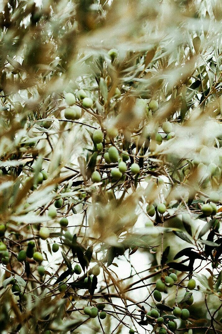 Парфюмерный. Студия декора LES décors