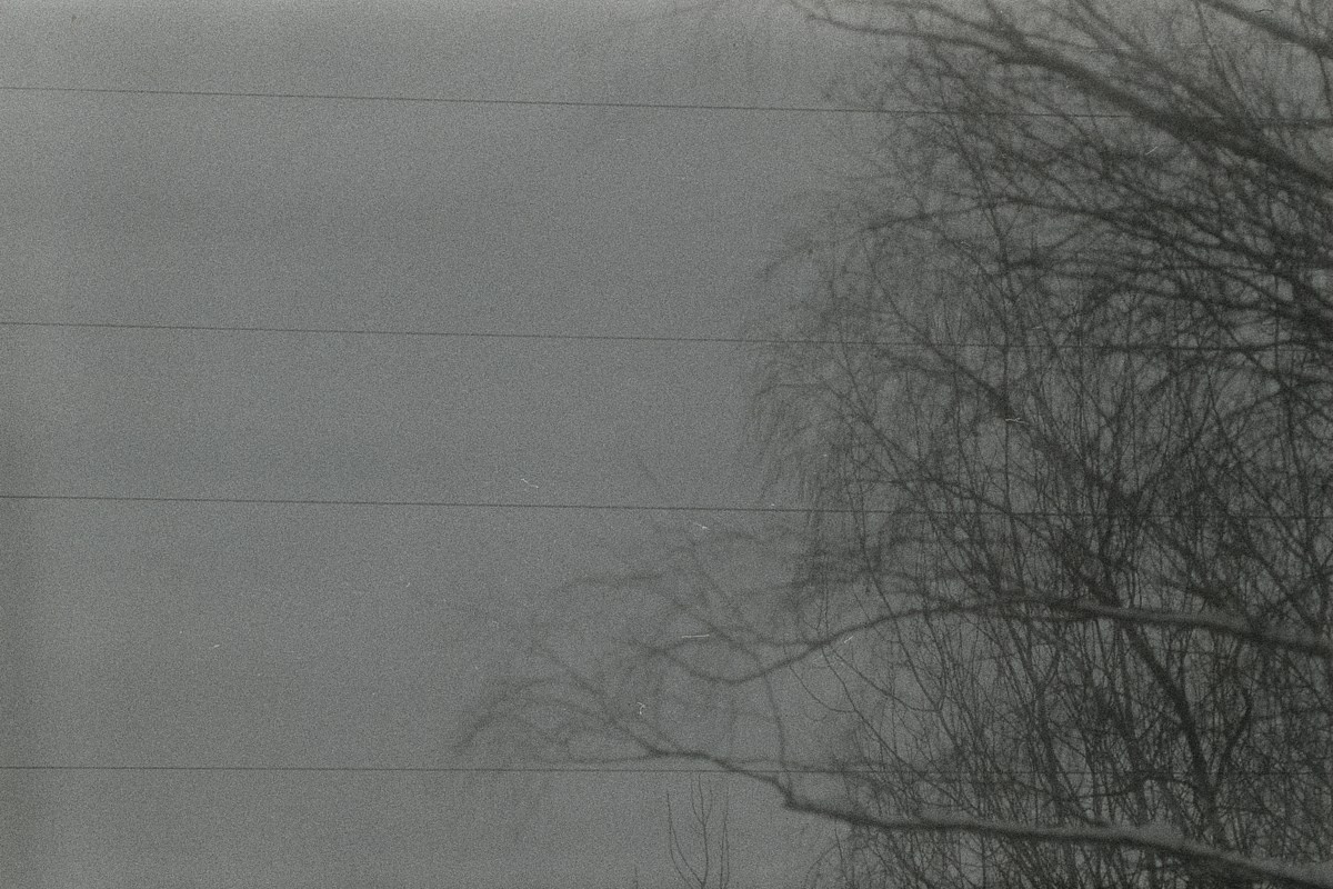 Несущественные детали. Иван Кобяков