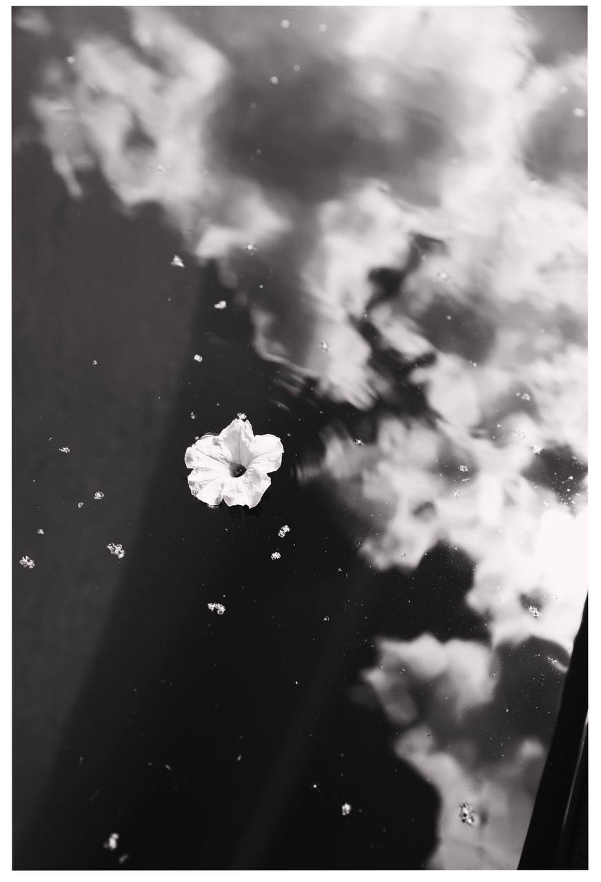 Фотолагерь. ARTDARY | Фотограф Дарья Грицай