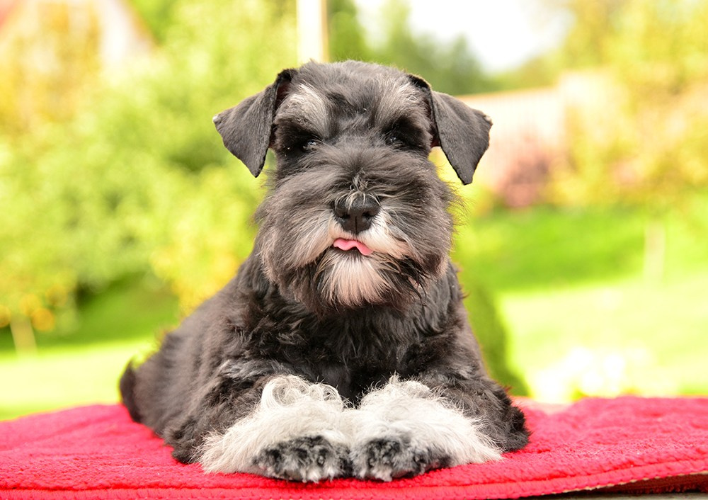 Этьен 💙Делинсо Бэлэнс Этьен Томазин
