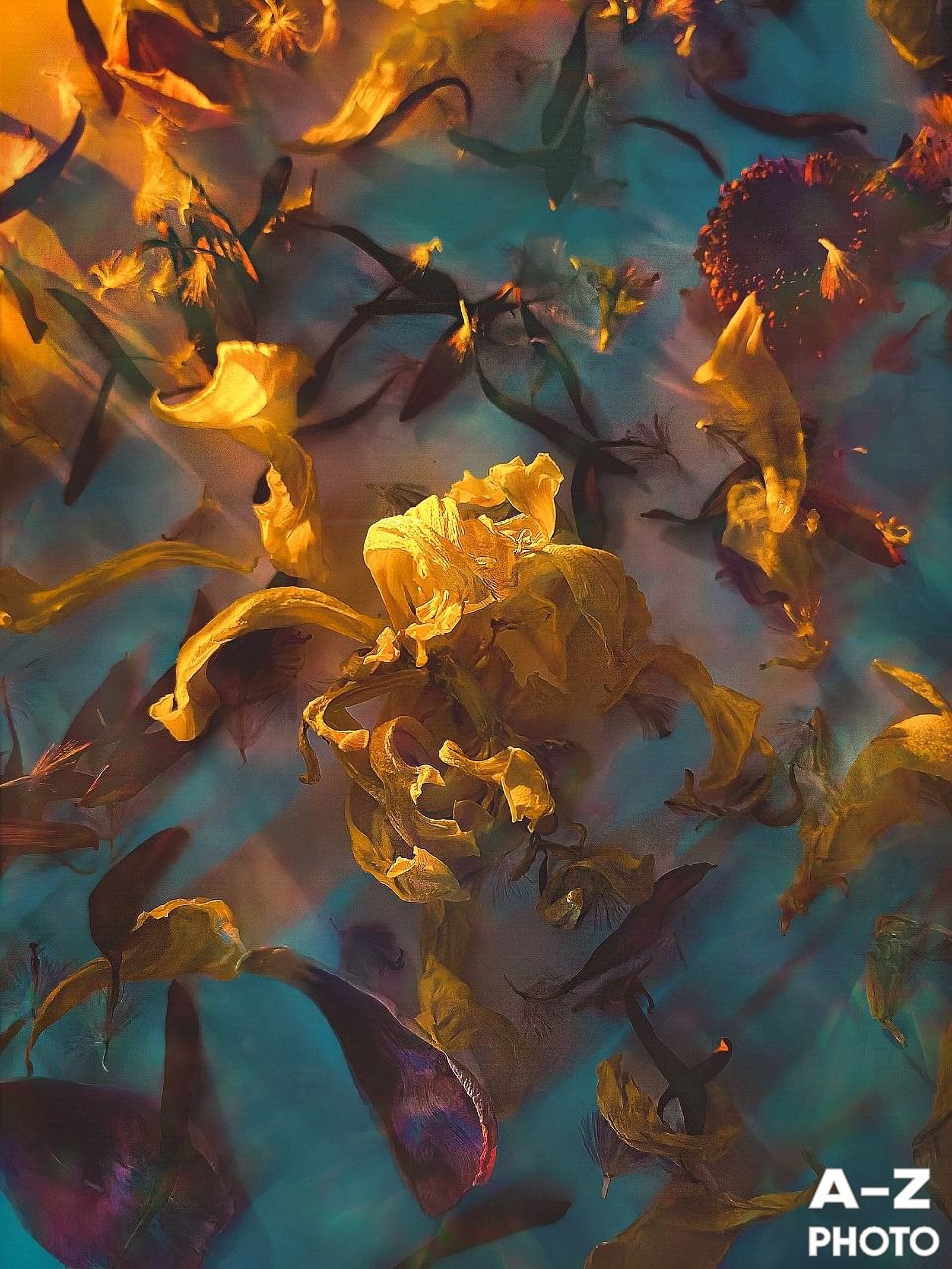 #ФОТОНЕДЕЛИ 06.04.2026. Женский семейный фотограф Тула Москва Захарова Анна