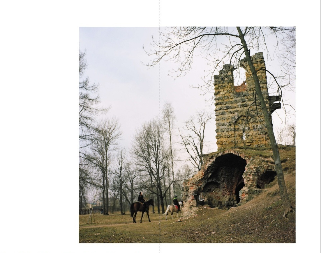 Road to Petergof. Ekaterina Vasilyeva photographer