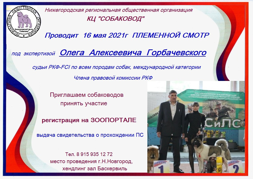 Племенной смотр 27.09.2020 г судья РКФ-FCI — А. Е. Логинов. НРОО КЦ "Собаковод"