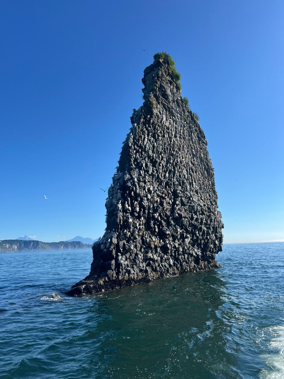 Морская прогулка в бухту Русскую. Экскурсионные туры по Камчатке