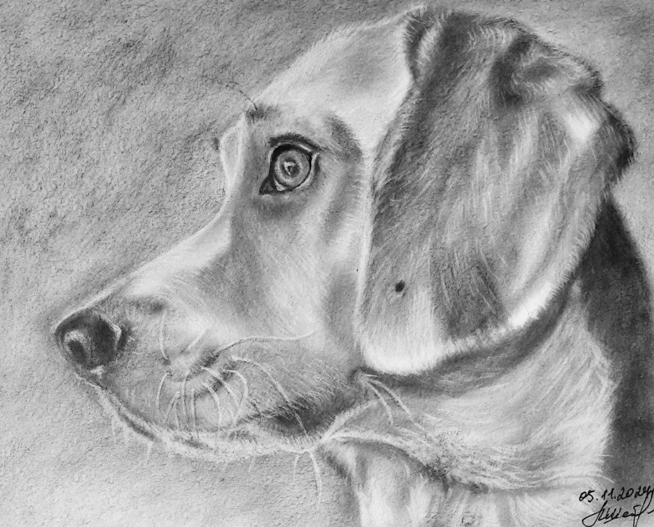 Любовь Шатунова | Портрет питомца по фото. Любовь Шатунова | Портреты по фото | Пейзажи на заказ | Натюрморты | Анимализм