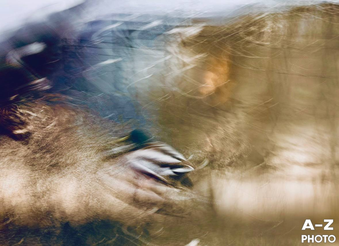 #ФОТОНЕДЕЛИ 16.03.2026. Женский семейный фотограф Тула Москва Захарова Анна