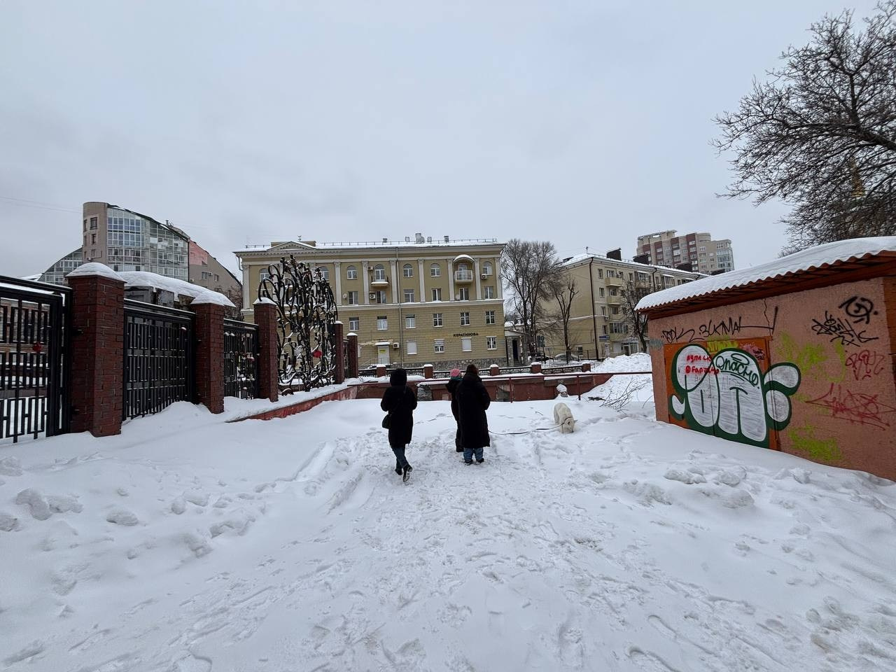 Улица Маркса. «ФотоСинтез»