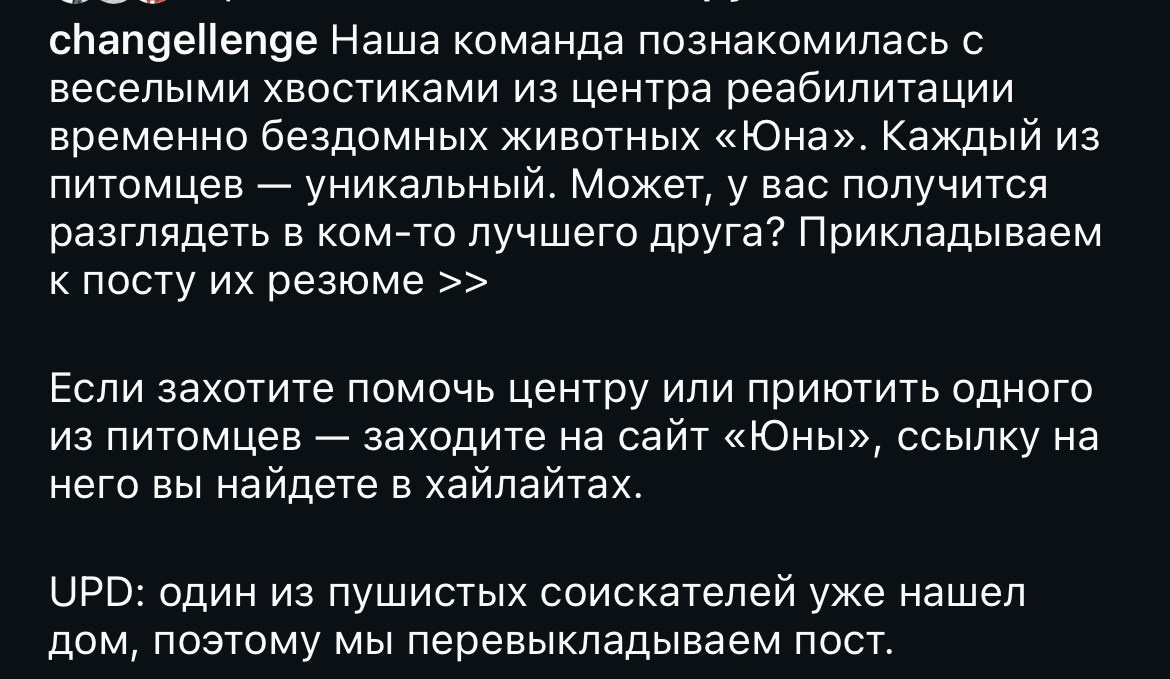 Бренды. Фотограф и коллажист Ольга Шереметьева