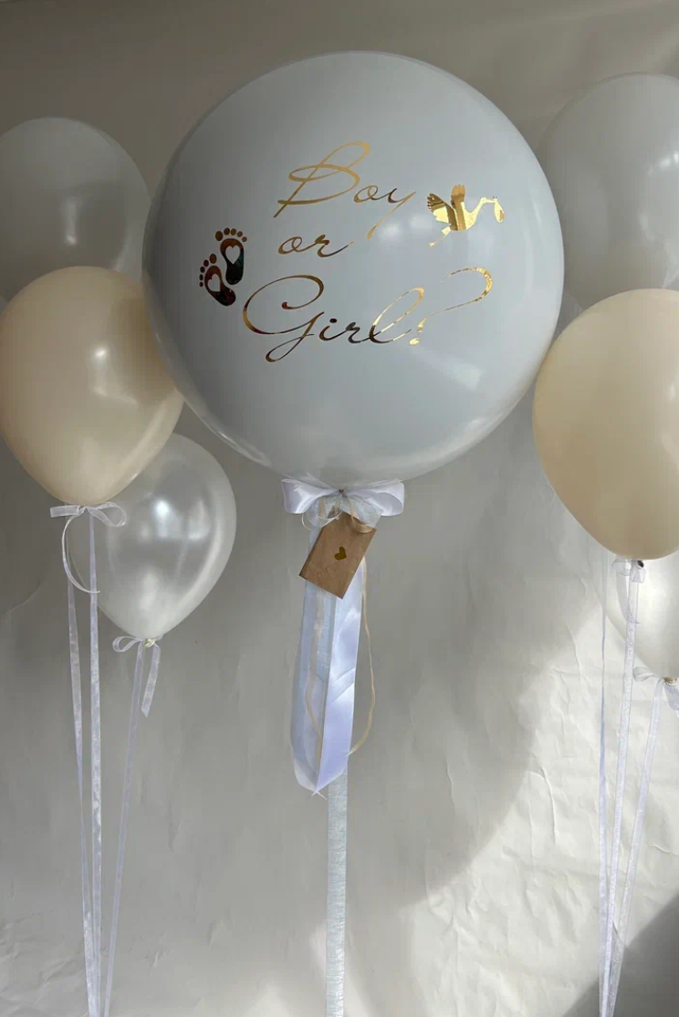 Гендер пати шары gender party balloons balon za otvaranje pola. Шары с гелием, фотозоны Нови Сад Белград. Balone i dekoracije od balona Novi Sad Beograd