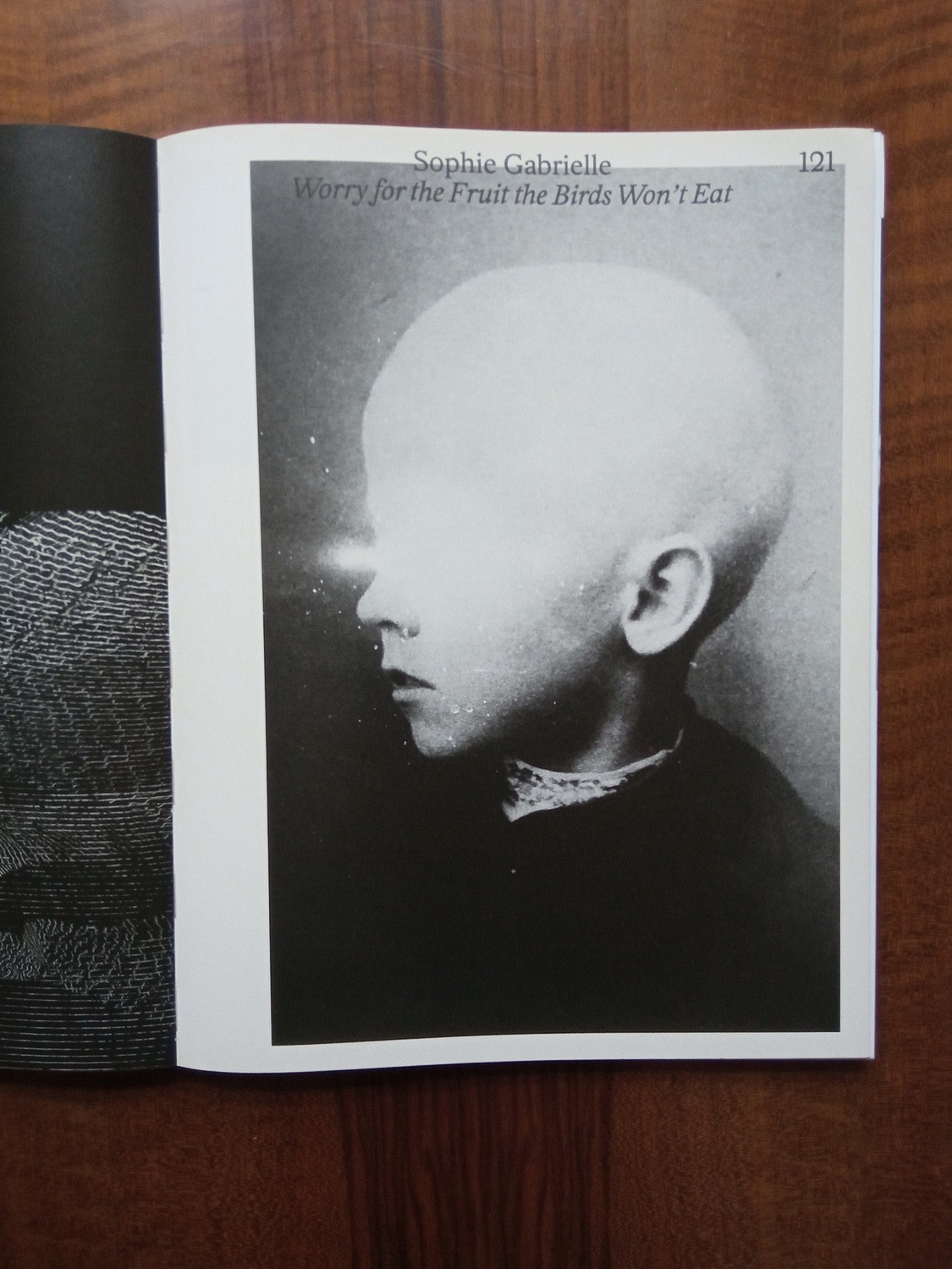 Проект «Worry for the fruit the birds won’t eat» Софи Габриэль. Private image