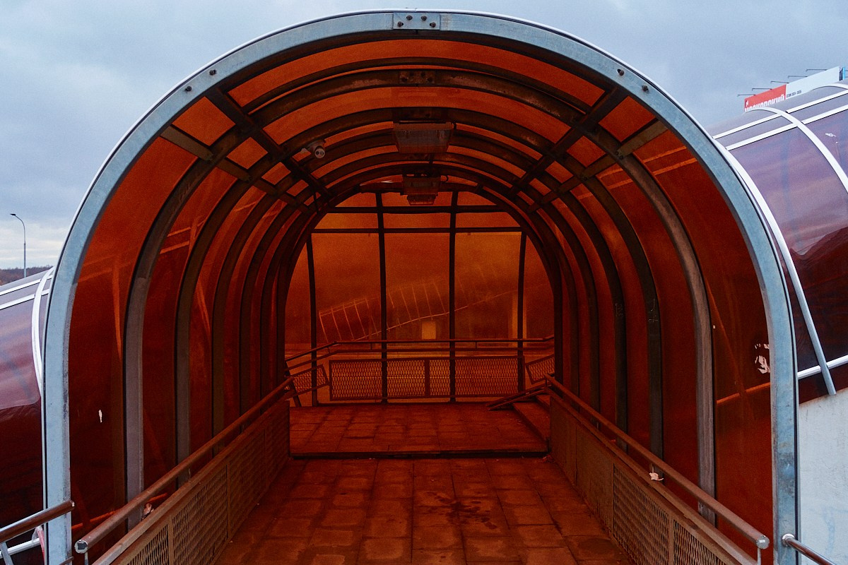 Чисто сердечное призвание. Иван Кобяков