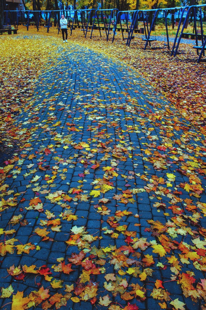 Руслан Шувалов (поэтограф)