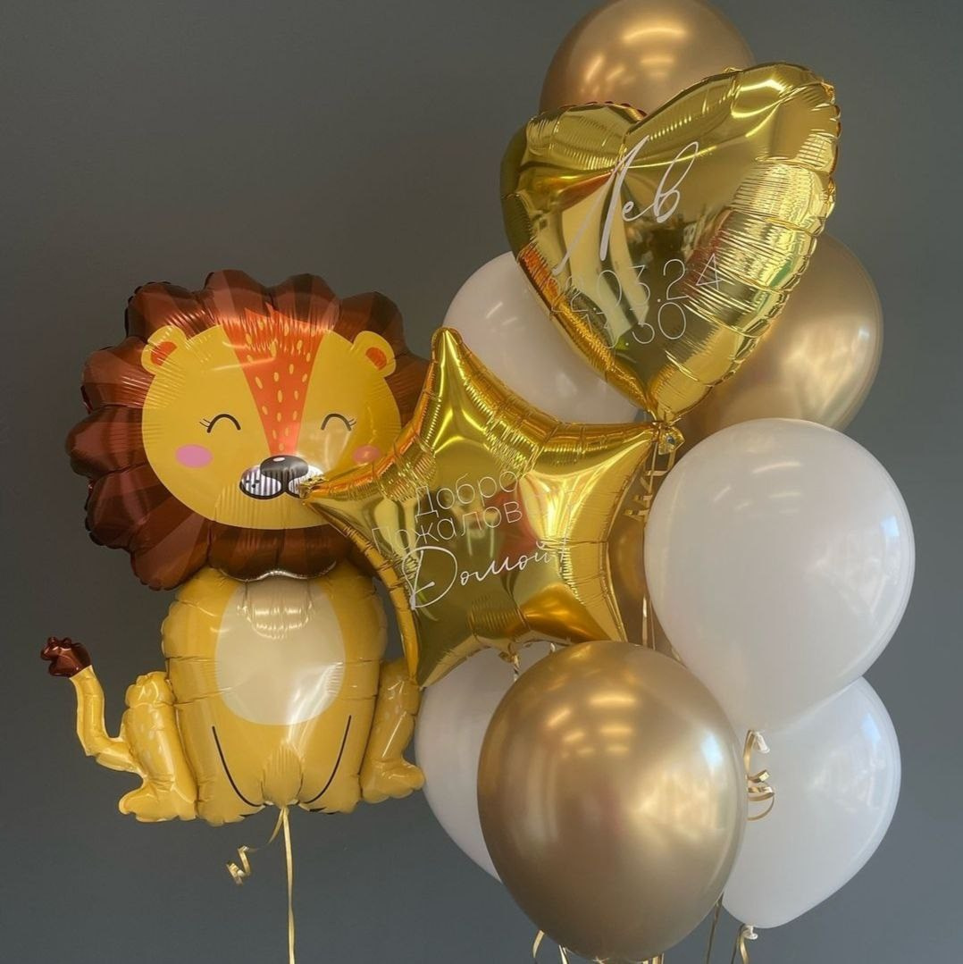 Dostava balona Novi Sad Dostava balona Beograd. Шары с гелием, фотозоны Нови Сад Белград. Balone i dekoracije od balona Novi Sad Beograd